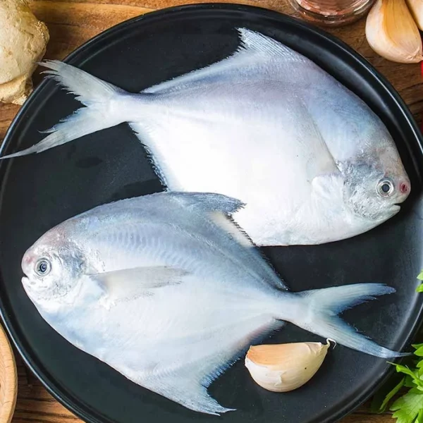 Pomfret