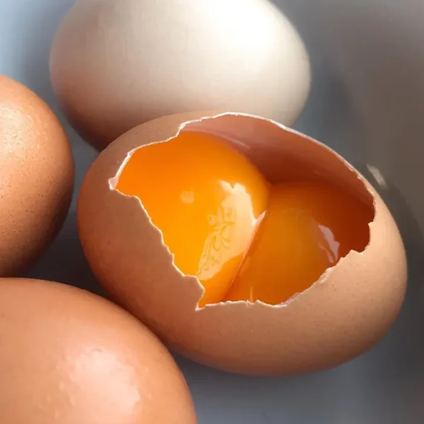Double Kesar Egg