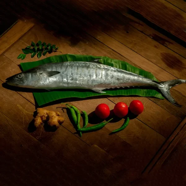 King  Fish