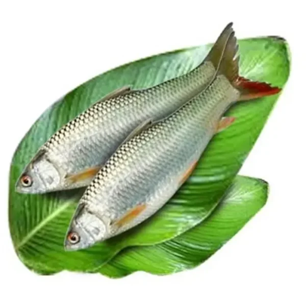 Mirkali