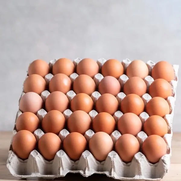 Peti Egg