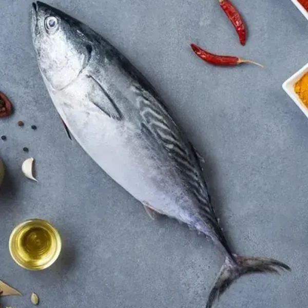 Tuna